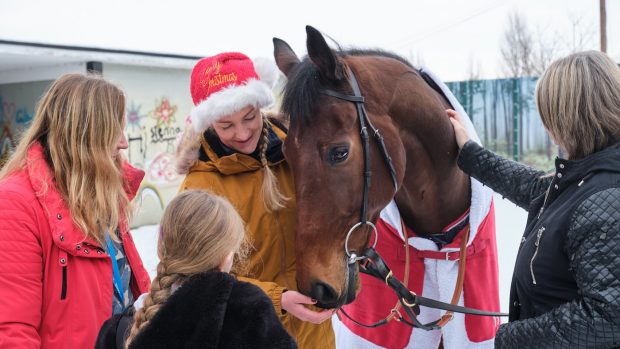 Picture shows former racehorse Envisaging, wearing a red rug trimmed with white, meeting a child. The horse is being held by a lady, wearing a Santa hat.