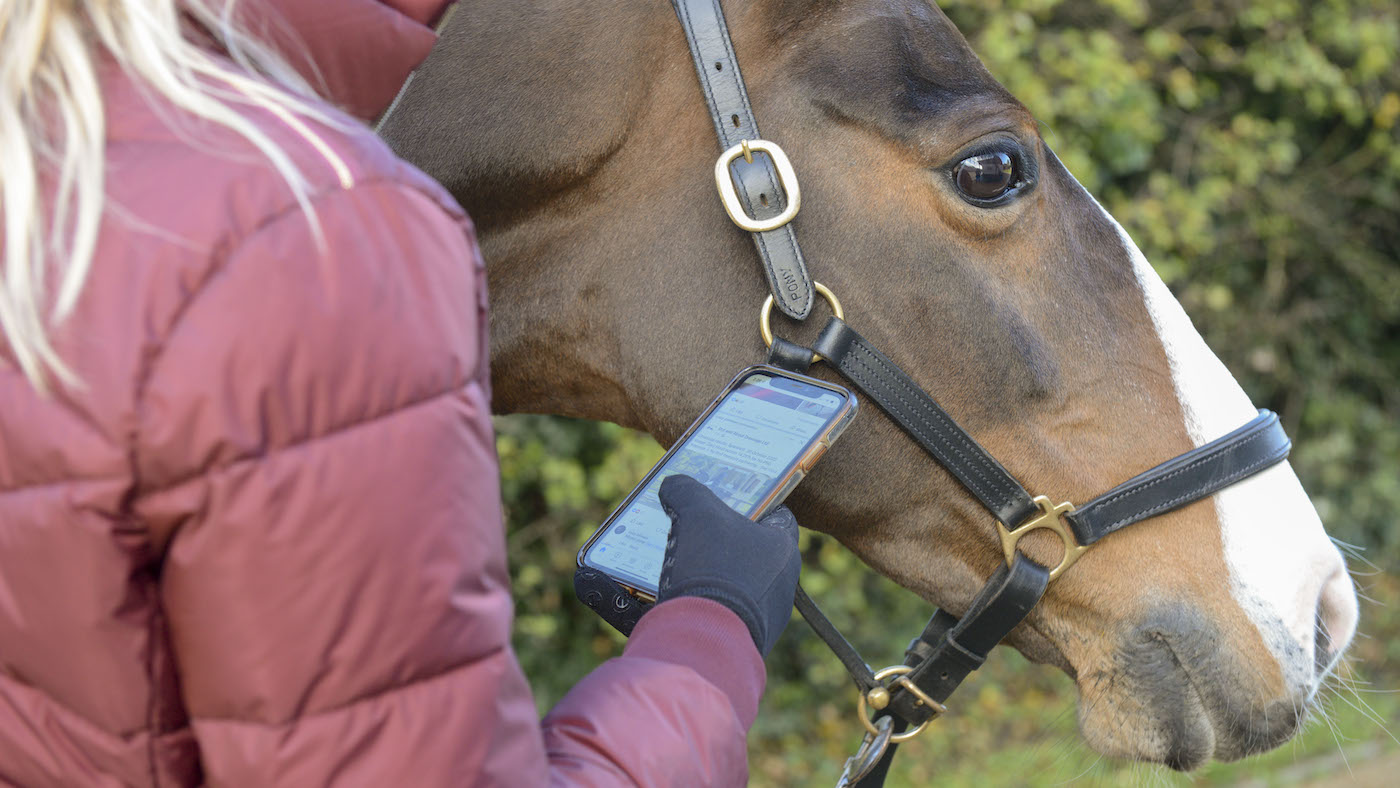 ‘It’s a complete Horlicks’ watershed moment as horse ID system is set