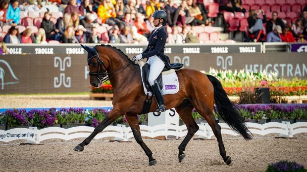 Yvonne Losos De Muniz of Dominican Republic riding Aquamarijn during the 2022 World Dressage Championships in Herning, Denmark.