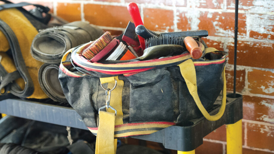 Grooming kit on the side in a stable area