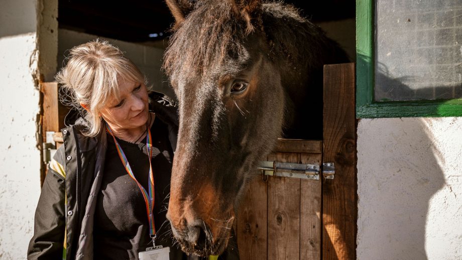 Picture shows a lady talking to a bay horse over the stable door