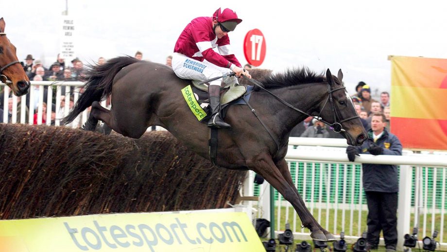 Racehorses that died in 2022 a farewell to some greats