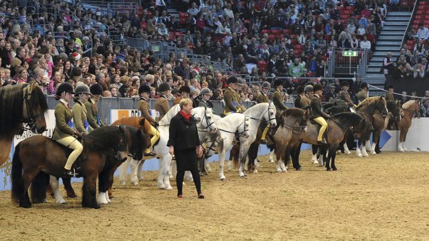 Fiona Holton is be judging the BSPS supreme M&M ridden final alongside fellow ride judge Jill Burgess and conformation judges Joyce Coltart and Ann Bigley.