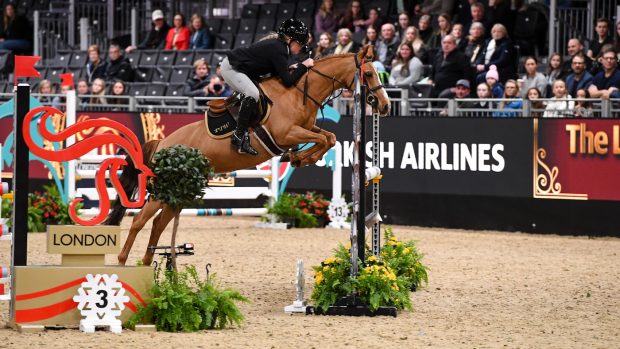 london horse show mini stakes