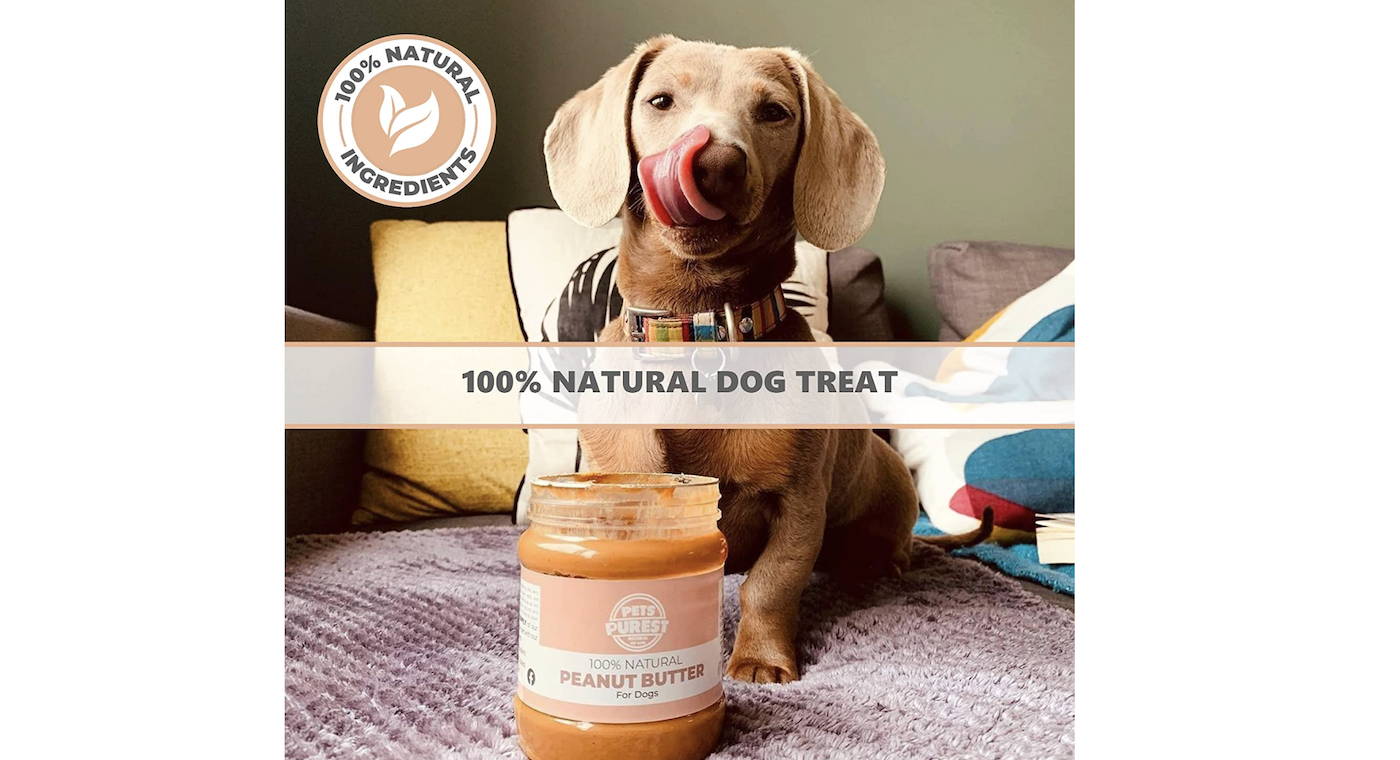 Best training treats for puppies an edible tool to entice and reward