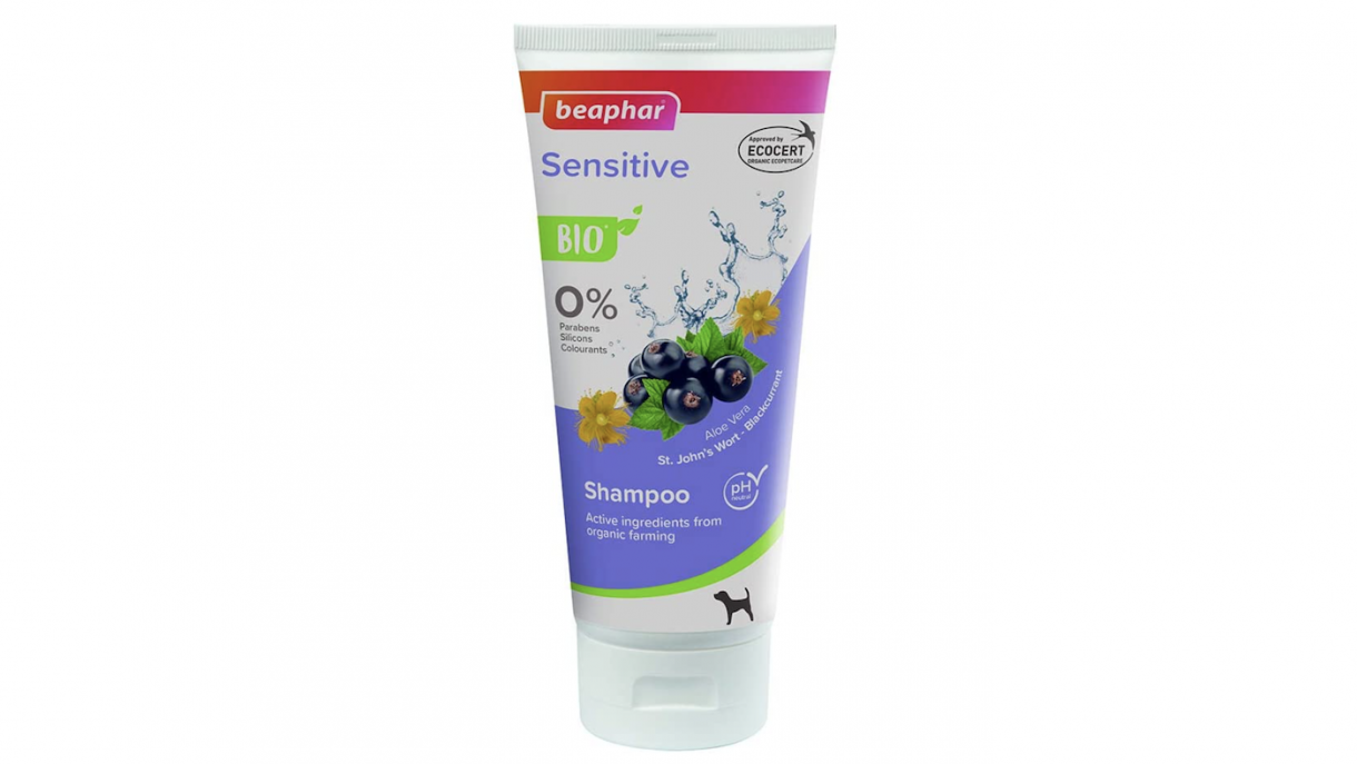 Best dog shampoo to wash your dog while improving his skin and coat