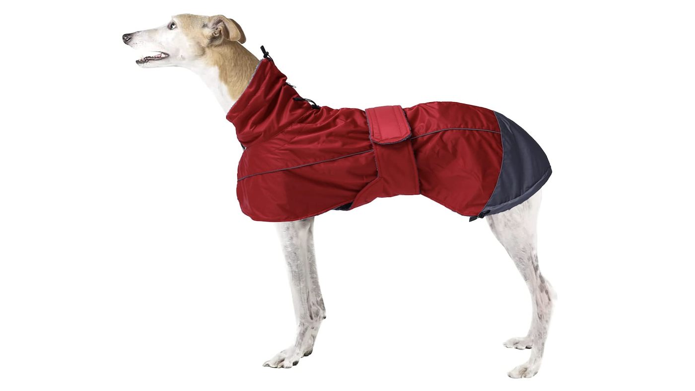 Morezi greyhound waterproof coat