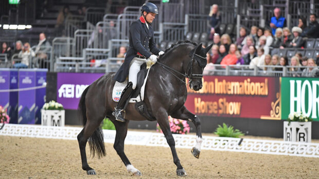 Andrew Gould and Indigro