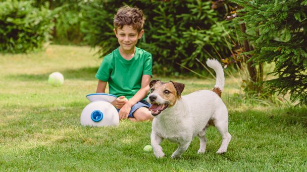 Boy playing with dog and ball throwing machine