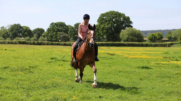 Strong horses are often more difficult to control in open spaces