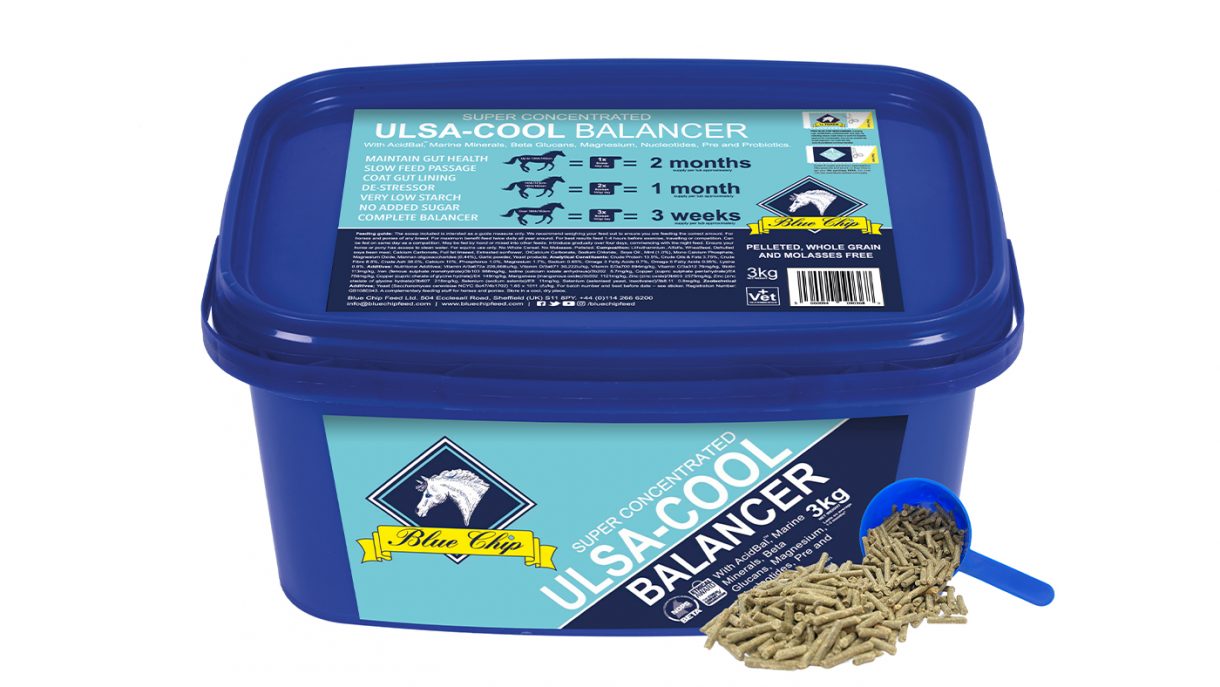 Feeds for horses with ulcers what are your options? Horse & Hound