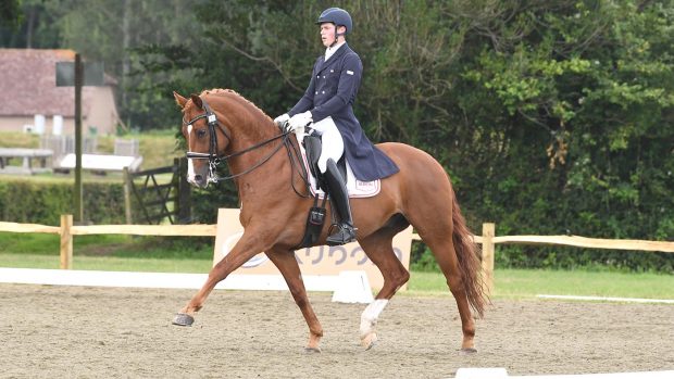 Sunlit Uplands and Dylan Deutrom