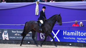 Kirstine Douglas, who started her showing career working for Robert Oliver, riding Rich Man Poor Man at Horse of the Year Show 2022.