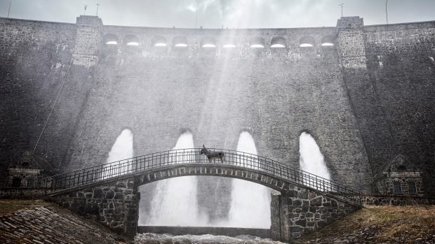 Jerzy Skilomowski-directed EO, about the journey of a donkey, is tipped for Oscar nomination. Pictured, a still from the film.