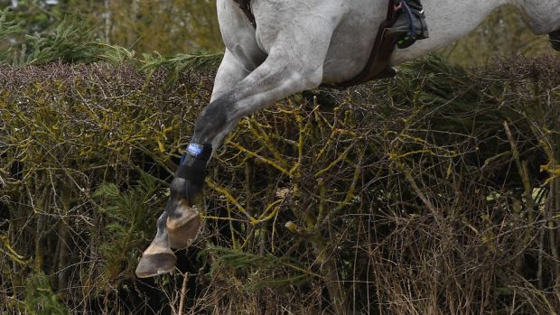 British Eventing: balloting will be part of the entries system for 2023