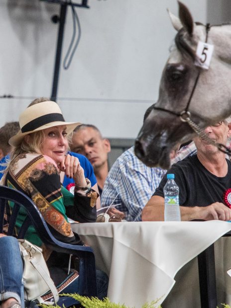 Founder of Halsdon Arabians, Shirley Watts, pictured, has died aged 84