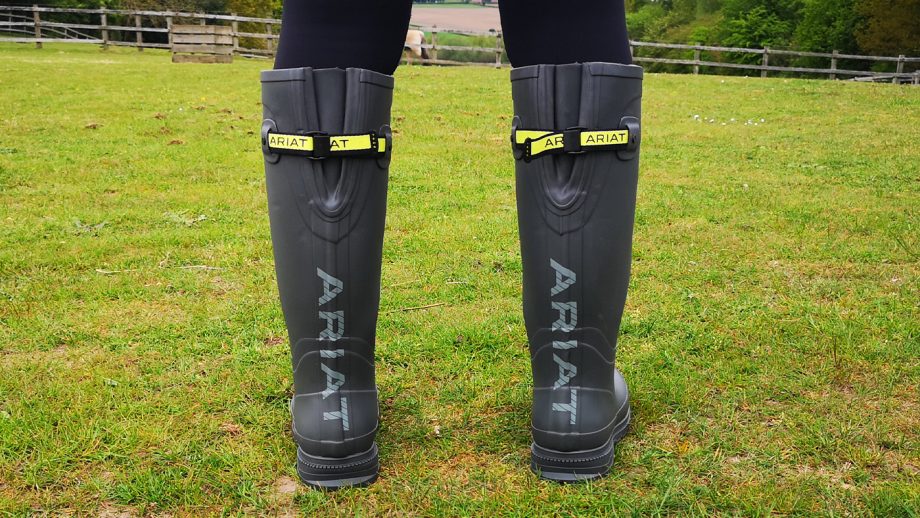 Ariat Kelmarsh from rear