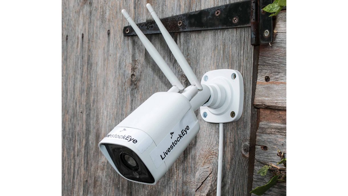 Best stable cameras for all connectivity situations Horse & Hound