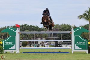 Showjumping news - triplet filly Akuna Mattata wins at WEF