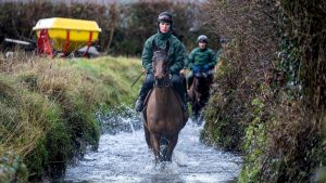 Grand National winner Noble Yeats splashes through water during training at home in Ireland.