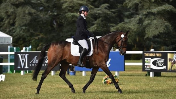 Pineau De Re, pictured doing dressage in a grass arena, was among the three finalists for the Retraining of Racehorses horse of the year award.