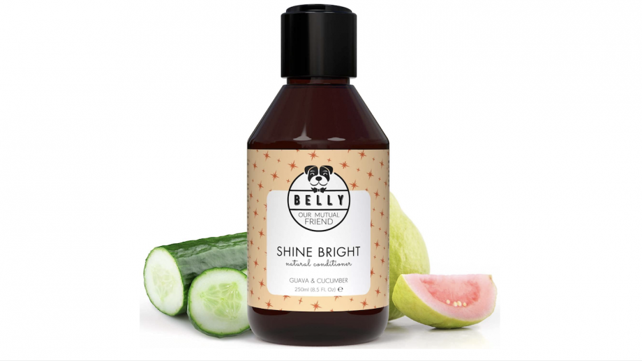Best dog conditioners to detangle, add shine and soothe irritated skin