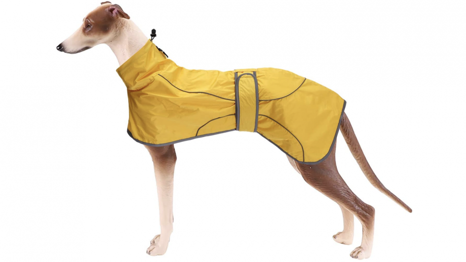 Dog coats with harness hole keep walking your dog safely in all weathers