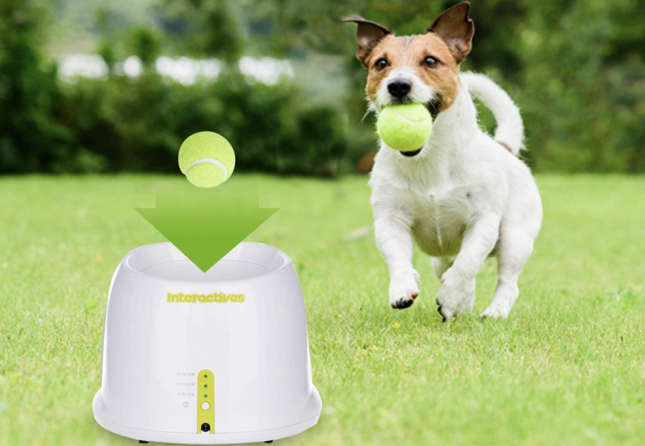 Best ball throwing machines for dogs do the hard work for you