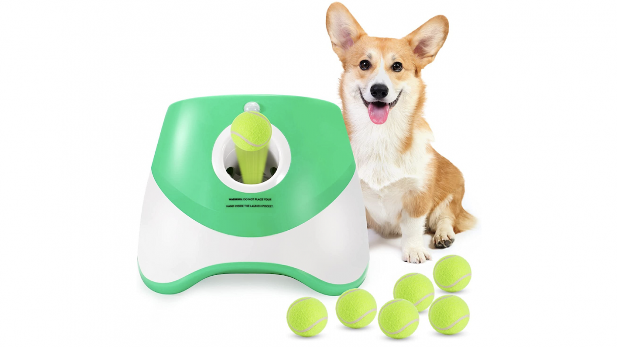 Best ball throwing machines for dogs do the hard work for you