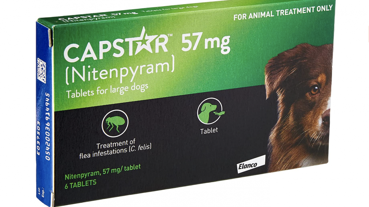Best flea treatment for dogs in a range of applications