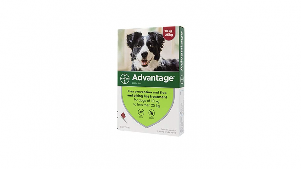 Best flea treatment for dogs in a range of applications