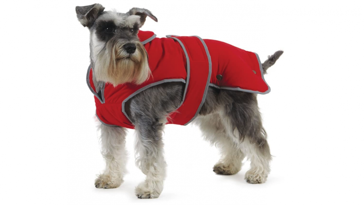 Best dog coats for wet walks, warmth and drying off
