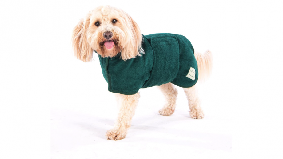 Best dog coats for wet walks, warmth and drying off