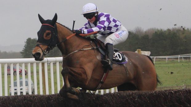 Olive Nicholls riding Viroflay