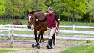 Woman practising groundwork with her horse