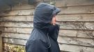 Harry Hall All-Weather Long Jacket hood