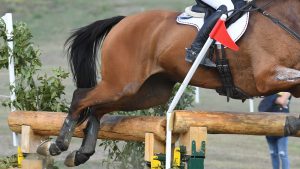 Eventing flag rule debate