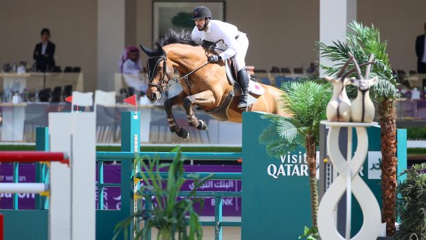 Veteran showjumper Quel Homme winning CSI2* grand prix