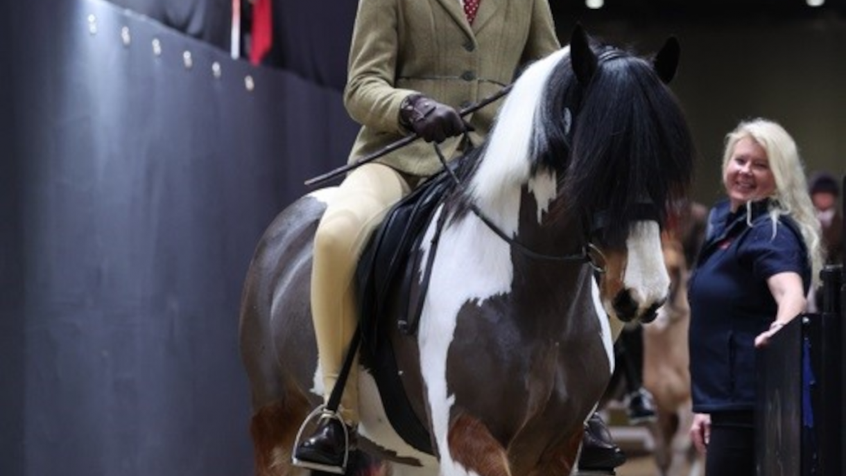 Olympia Horse Show, now known as The London International Horse Show
