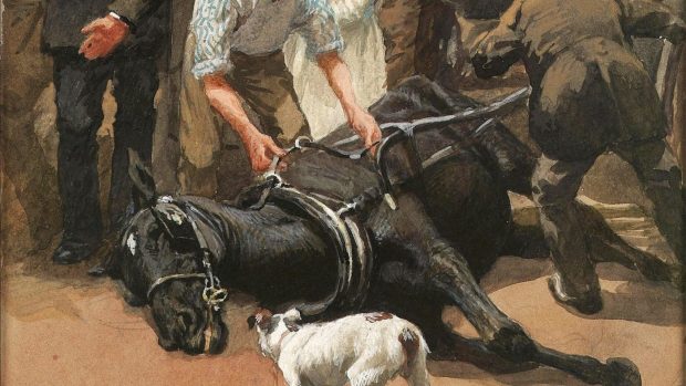 The work of equestrian artist Lucy Kemp-Welch, whose paintings included Black Beauty illustrations (pictured) will be featured in an exhibition this spring