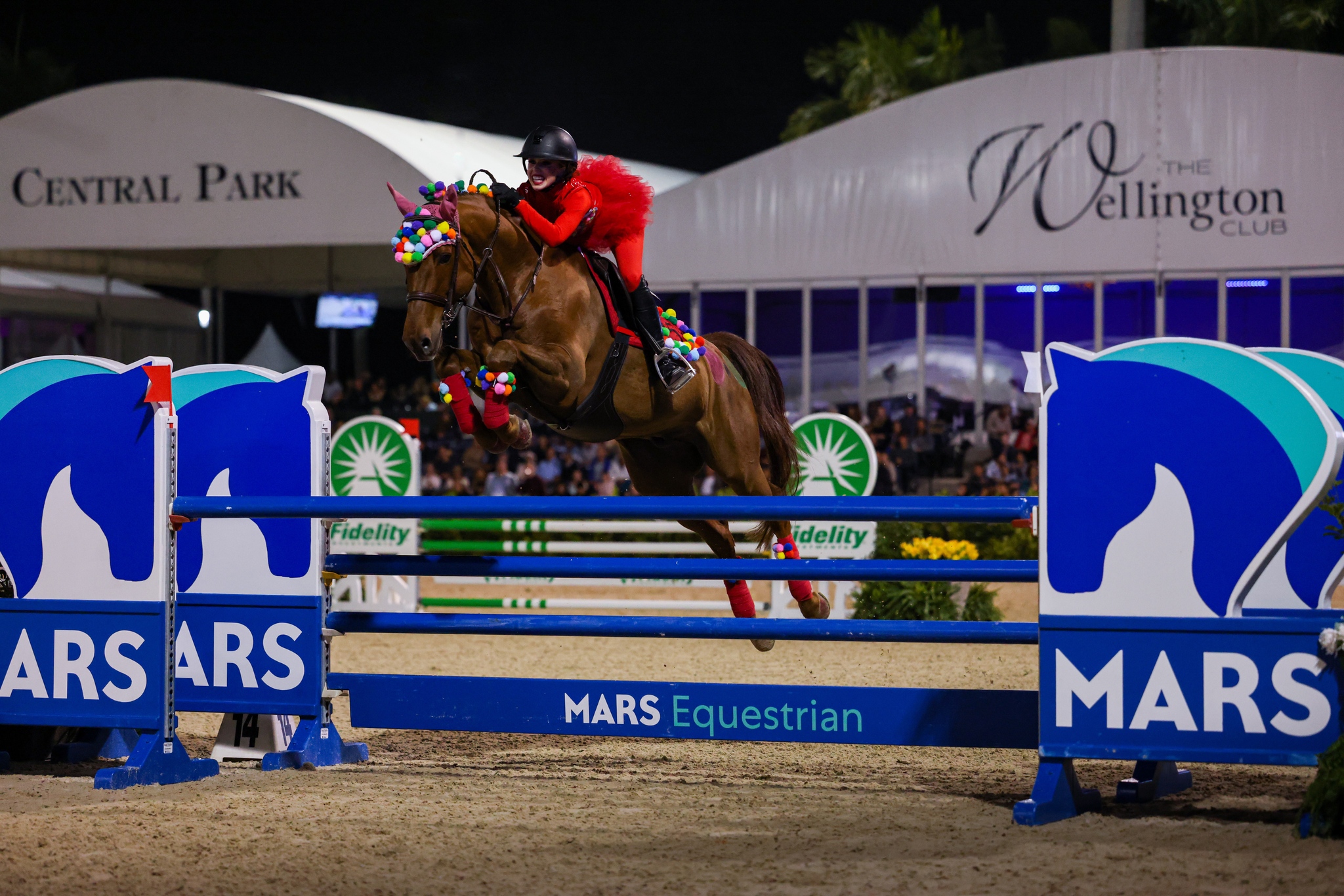 Great Charity Challenge fancy dress at WEF, Florida