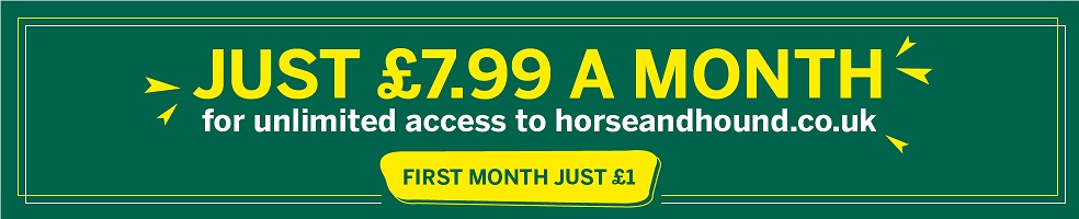 H&H New Season Banner