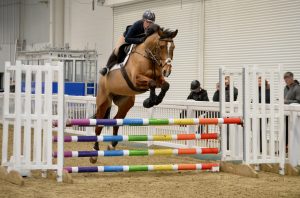 Kim Webster and her veteran hose Libero Boy winning a showjumping class at Aintree Equestrian Centre