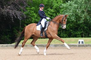 Laura Tomlinson riding Fallatijn Van Kairos.