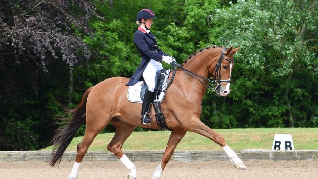 Laura Tomlinson riding Fallatijn Van Kairos.