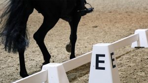 High level dressage horse riding alongside the white dressage boards