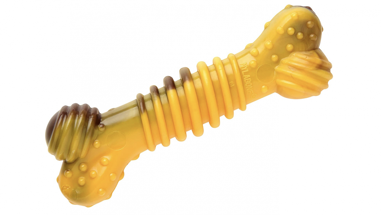 Toughest dog chew toys for powerful chewers to get their teeth into