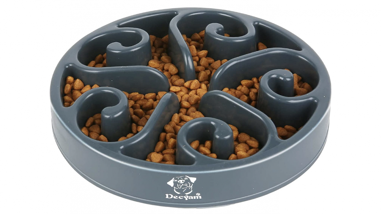 Best slow feeder dog bowls for speedy eaters to improve digestion