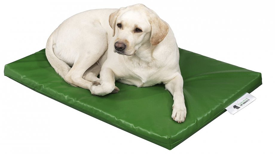 Best dog bed for chewers that are designed to last
