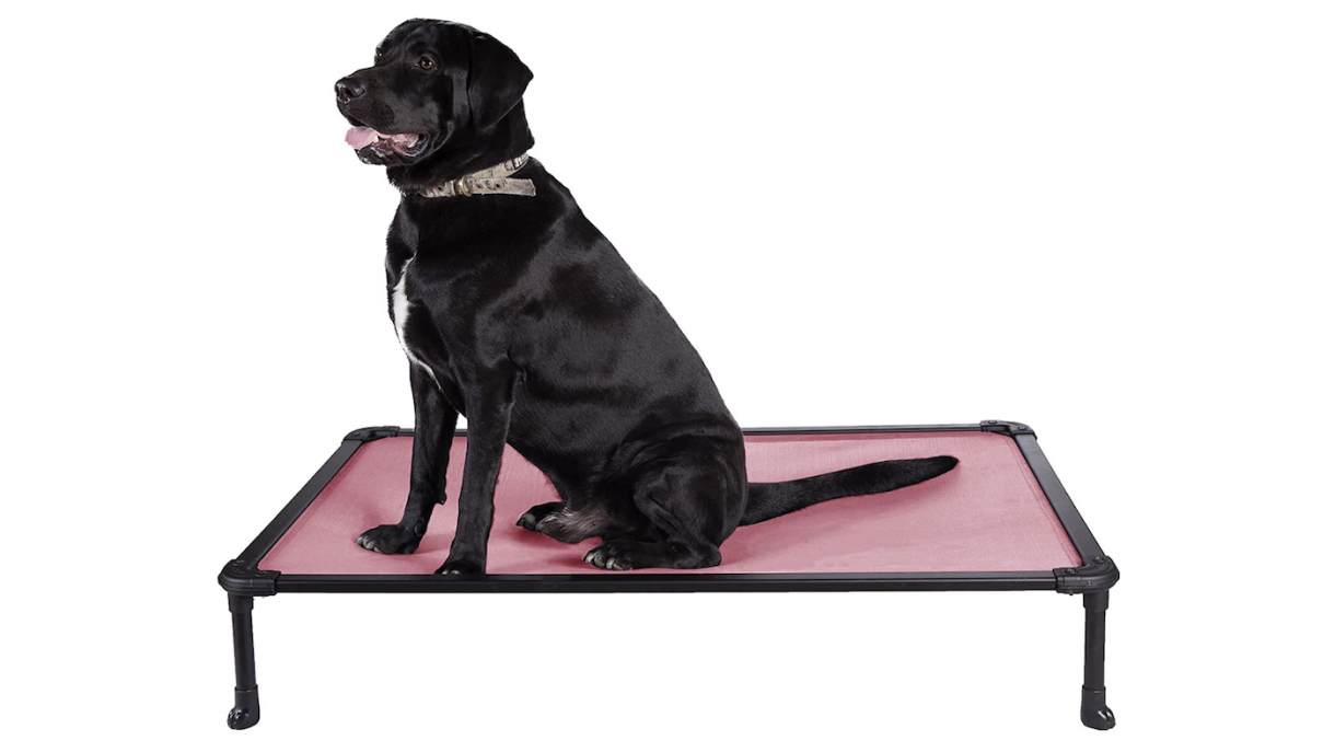 Best dog bed for chewers to prevent them ripping their mattress apart
